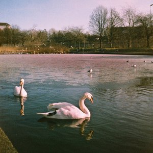 holographic episode on 31/03/2026 from 18:00-19:00