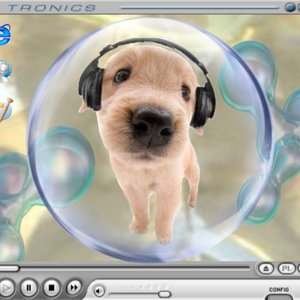 Freaks and Geeks: Go talk to the dog on 29/05/2025 from 15:00-16:00