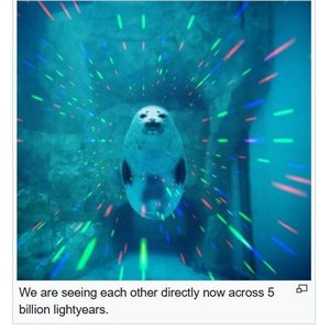 BOBORDER HOPPER: Getting Silly on 11/03/2026 from 15:00-17:00