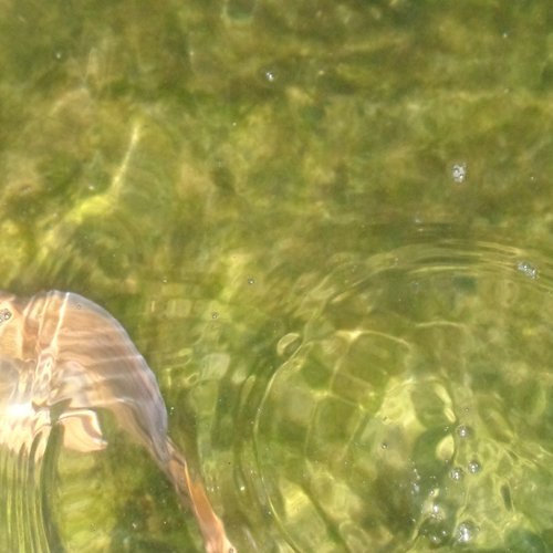 BOBORDER HOPPER episode 26-02-25