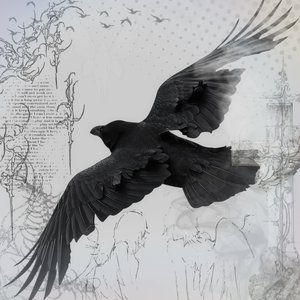 Freaks and Geeks: The Crow on 21/01/2026 from 15:00-16:00