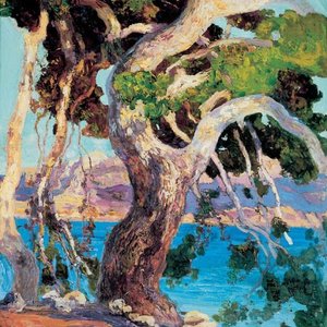 Forest Jazz: Guide to Travel: Mallorca on 27/08/2026 from 14:00-15:00