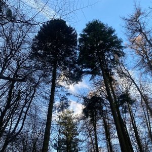 Wrapped up in Books: little women part 2 on 13/01/2026 from 19:00-20:00