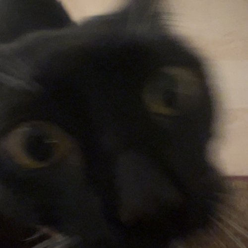 Freaks and Geeks episode 25-10-29