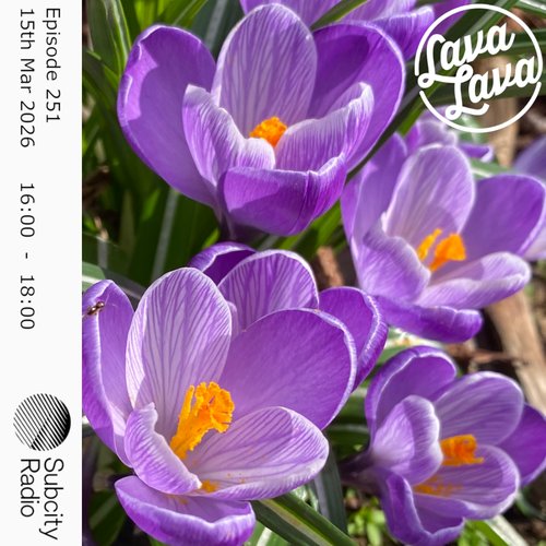 Lava Lava episode 26-03-15