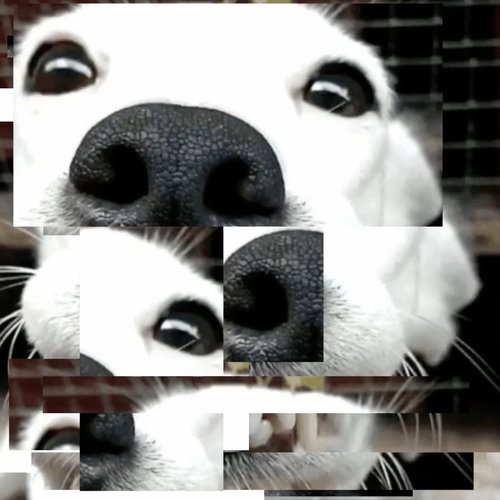 analog episode 25-12-04