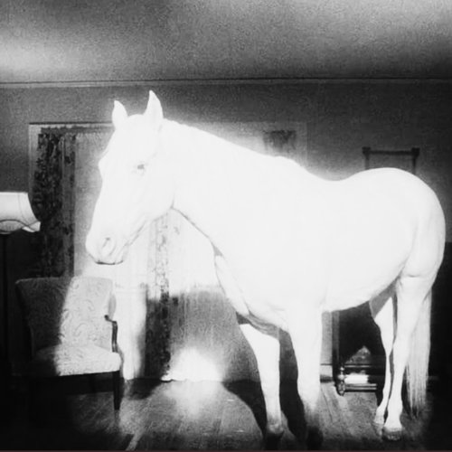 haloCollapse episode 26-01-17