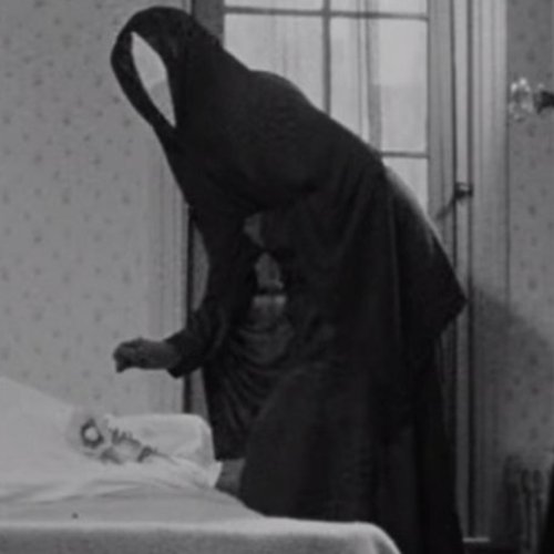 haloCollapse episode 26-01-31