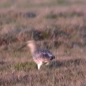 From Inside the Tub: Episode Twelve on 03/02/2026 from 16:00-17:00