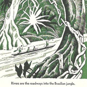 Forest Jazz: Tropical Rainforests on 12/03/2026 from 14:00-15:00