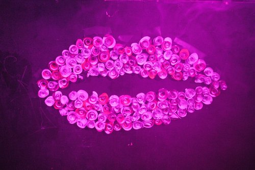 Jilted 2017 Valentines Rosy Lips