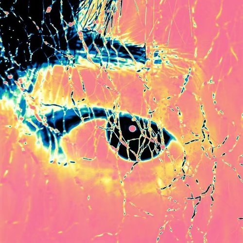 Sonoscope episode 26-07-18