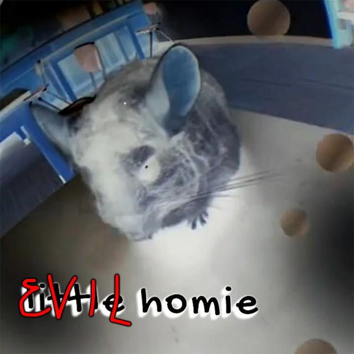 evil homie