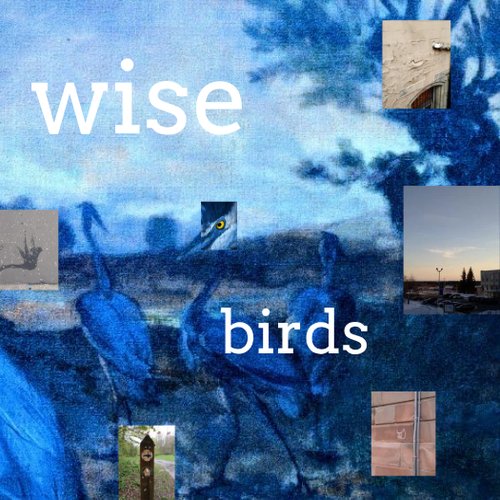 Wise Birds Rachel Lyndon