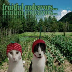 BOBORDER HOPPER: Guest Episode w/Ilya on 25/03/2026 from 15:00-17:00