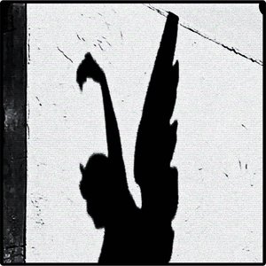 haloCollapse is a radio show dedicated to the immersive and intersecting worlds of shoegaze, metal, and post-rock. The show explores how shoegaze’s shimmering textures, metal’s heaviness, and post-rock’s blistering haze can sometimes blend and dissolve into distortion - fragile yet overwhelming, always drenched in reverb, fuzz, and haze.
Sounds range from more famous fusions, emogaze and grungegaze, to lesser known fusions, blackgaze (black metal + shoegaze) and ambient gaze. I will highlight artists from around the world but especially artists from the southern US, including my homestate, South Carolina.
Each episode is curated on an emotion or -gaze texture. Overall, the show aims to wrap listeners in an angelic shroud with minimal chatter, yet its heavier moments erupt into a whirlwind of distortion. Still, it all settles into a cathartic balm against the damp outside. haloCollapse