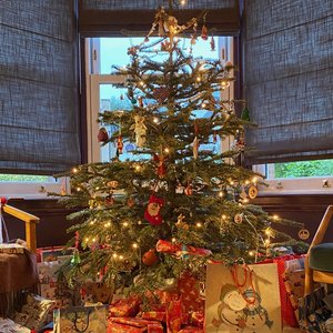 Wrapped up in Books: little women/ Christmas special on 16/12/2025 from 19:00-20:00