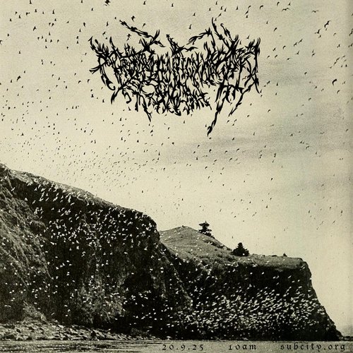 imrig episode 25-09-20