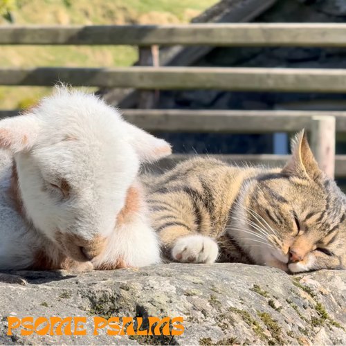 psome psalms episode 25-12-04