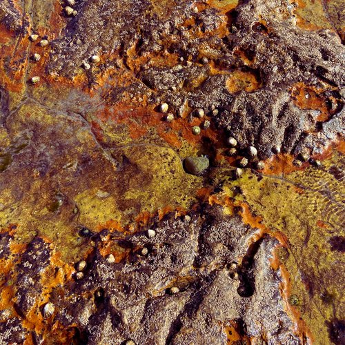 Subcity Freestyle episode 25-11-12