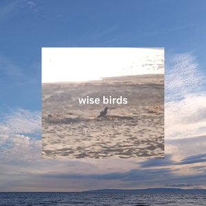 Wise Birds: (25) The Thing with Feathers on 24/06/2026 from 11:00-12:00