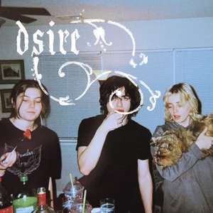 DSIRE: dear diary, i'm attempting the art of letting go on 01/12/2025 from 11:00-12:00